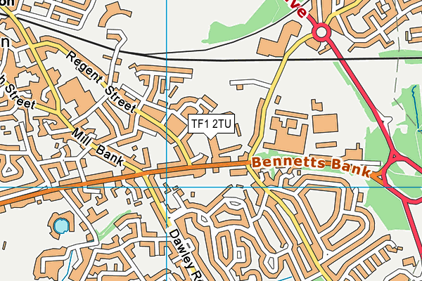 Rise Fitness (Telford) map (TF1 2TU) - OS VectorMap District (Ordnance Survey)