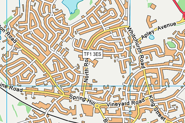 Wrekin View Primary School map (TF1 3ES) - OS VectorMap District (Ordnance Survey)