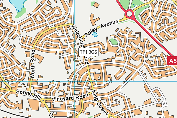 TF1 3GS map - OS VectorMap District (Ordnance Survey)