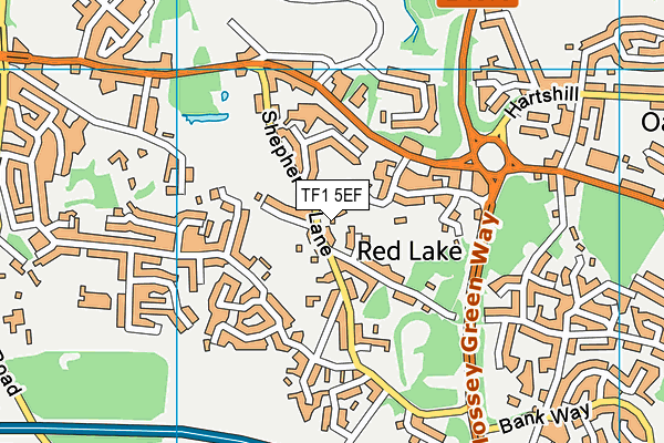 TF1 5EF map - OS VectorMap District (Ordnance Survey)