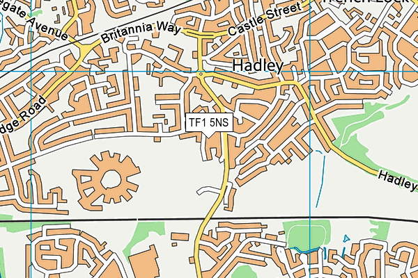 TF1 5NS map - OS VectorMap District (Ordnance Survey)