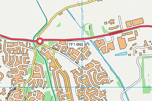 TF1 6NS map - OS VectorMap District (Ordnance Survey)