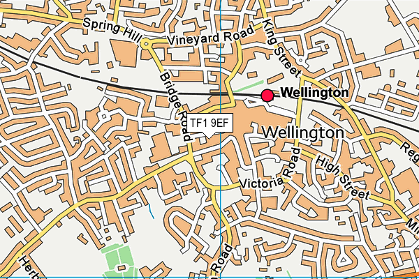 TF1 9EF map - OS VectorMap District (Ordnance Survey)