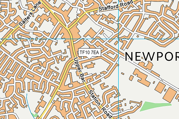 Newport C.e. Junior School map (TF10 7EA) - OS VectorMap District (Ordnance Survey)