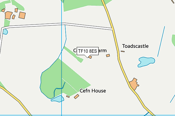 TF10 8ES map - OS VectorMap District (Ordnance Survey)
