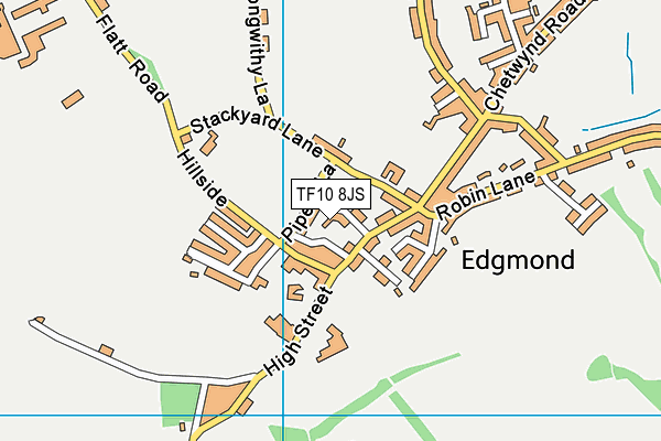 TF10 8JS map - OS VectorMap District (Ordnance Survey)