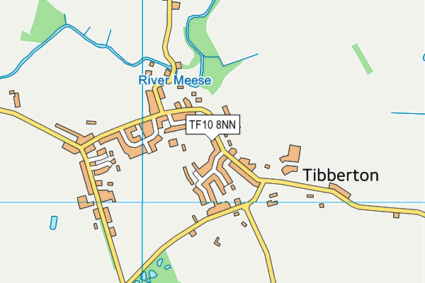 Tibberton Church of England Primary School map (TF10 8NN) - OS VectorMap District (Ordnance Survey)
