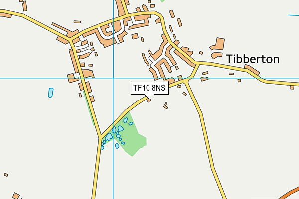 TF10 8NS map - OS VectorMap District (Ordnance Survey)