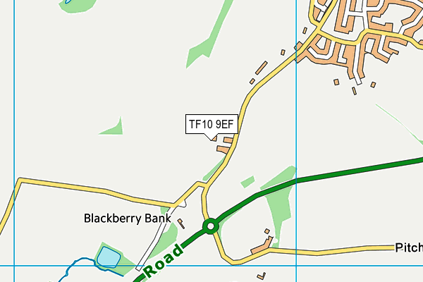 TF10 9EF map - OS VectorMap District (Ordnance Survey)