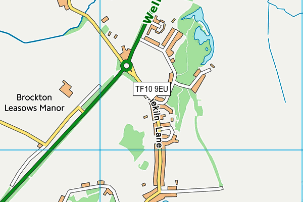 TF10 9EU map - OS VectorMap District (Ordnance Survey)