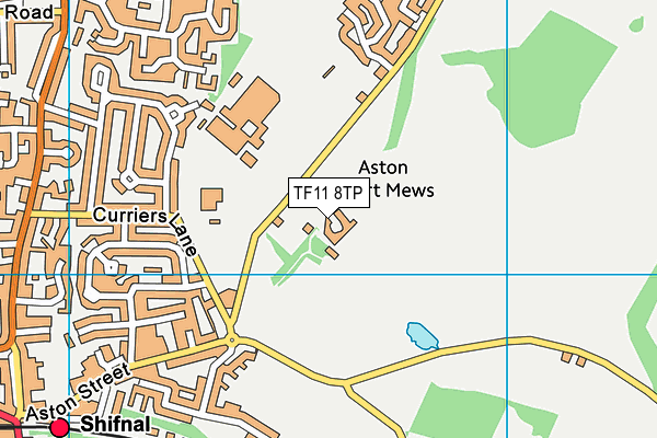 TF11 8TP map - OS VectorMap District (Ordnance Survey)