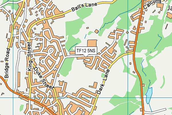 Birchmeadow Playing Fields map (TF12 5NS) - OS VectorMap District (Ordnance Survey)