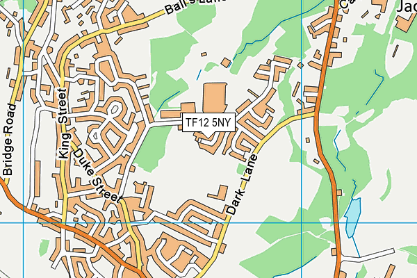 TF12 5NY map - OS VectorMap District (Ordnance Survey)