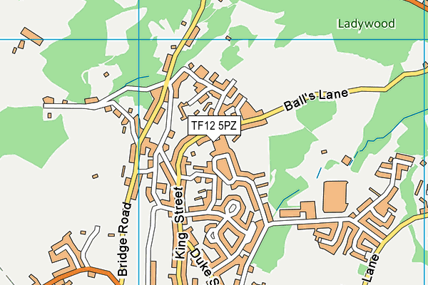 TF12 5PZ map - OS VectorMap District (Ordnance Survey)