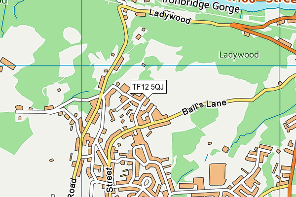 TF12 5QJ map - OS VectorMap District (Ordnance Survey)