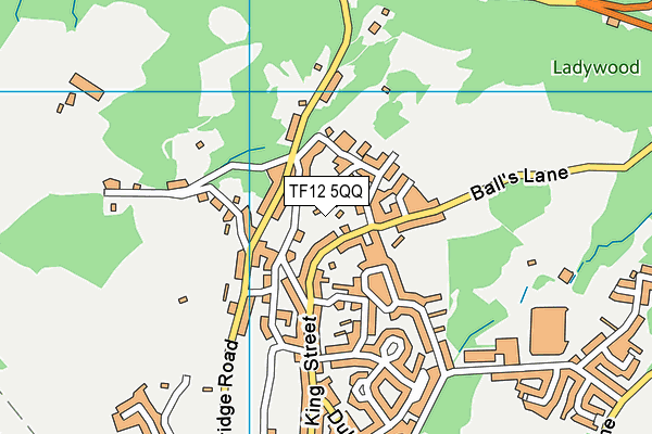 TF12 5QQ map - OS VectorMap District (Ordnance Survey)