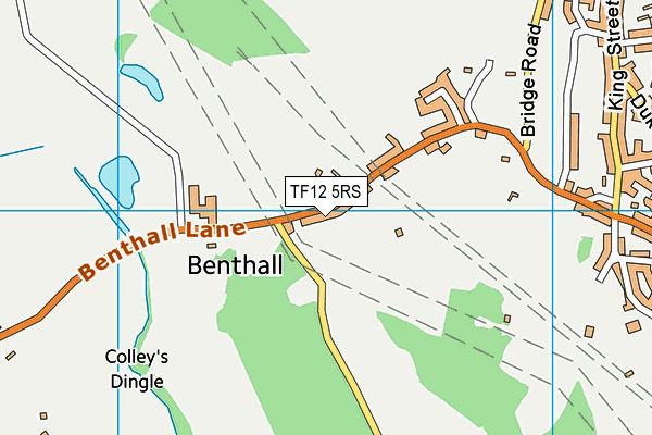 TF12 5RS map - OS VectorMap District (Ordnance Survey)