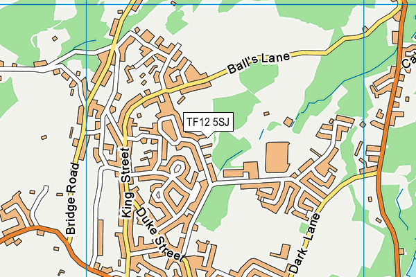 TF12 5SJ map - OS VectorMap District (Ordnance Survey)