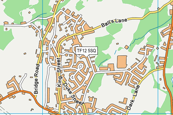 TF12 5SQ map - OS VectorMap District (Ordnance Survey)