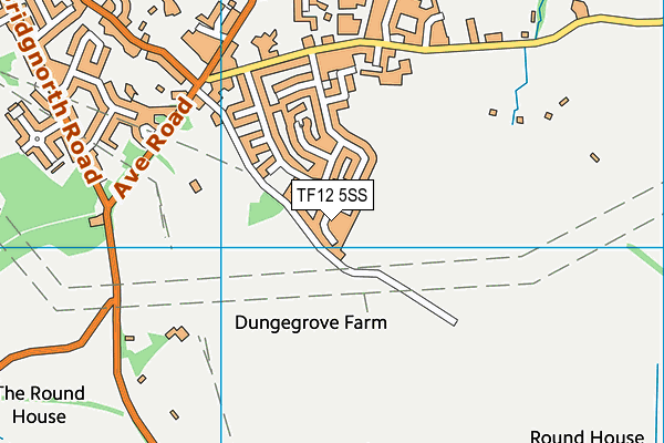 TF12 5SS map - OS VectorMap District (Ordnance Survey)