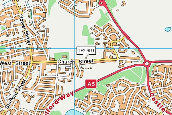 TF2 9LU map - OS VectorMap District (Ordnance Survey)