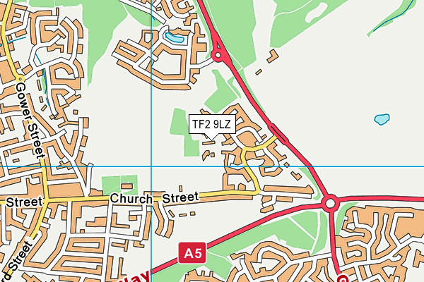 TF2 9LZ map - OS VectorMap District (Ordnance Survey)