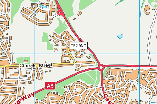 TF2 9NG map - OS VectorMap District (Ordnance Survey)