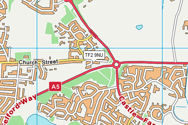 TF2 9NU map - OS VectorMap District (Ordnance Survey)