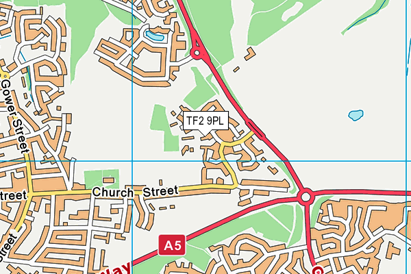 TF2 9PL map - OS VectorMap District (Ordnance Survey)