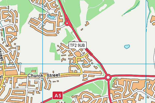 TF2 9UB map - OS VectorMap District (Ordnance Survey)