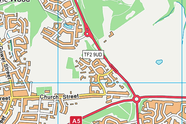 TF2 9UD map - OS VectorMap District (Ordnance Survey)