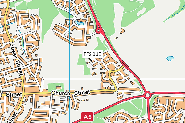 TF2 9UE map - OS VectorMap District (Ordnance Survey)