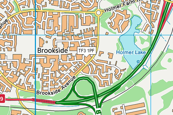 TF3 1PF map - OS VectorMap District (Ordnance Survey)