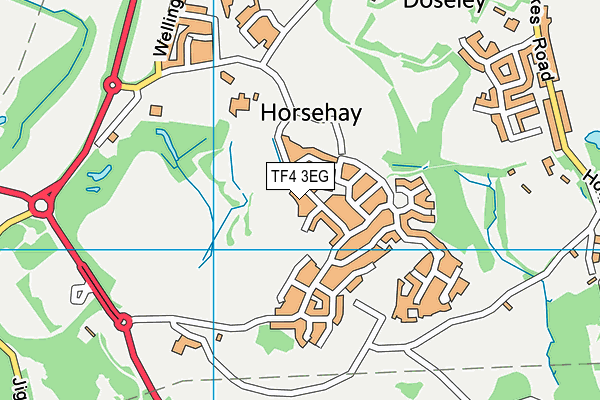 Lightmoor Village Primary School map (TF4 3EG) - OS VectorMap District (Ordnance Survey)