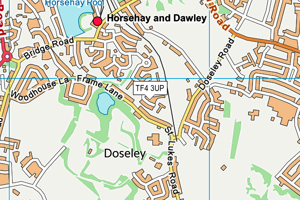 TF4 3UP map - OS VectorMap District (Ordnance Survey)