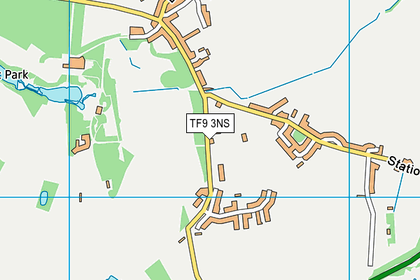 Hodnet Primary School map (TF9 3NS) - OS VectorMap District (Ordnance Survey)