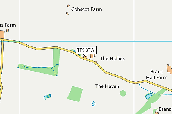 TF9 3TW map - OS VectorMap District (Ordnance Survey)