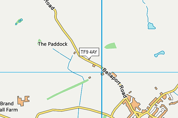 TF9 4AY map - OS VectorMap District (Ordnance Survey)