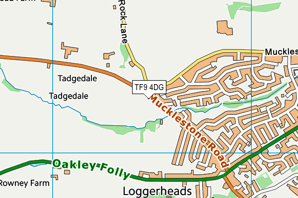 TF9 4DG map - OS VectorMap District (Ordnance Survey)
