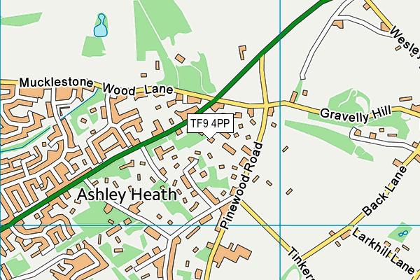 TF9 4PP map - OS VectorMap District (Ordnance Survey)