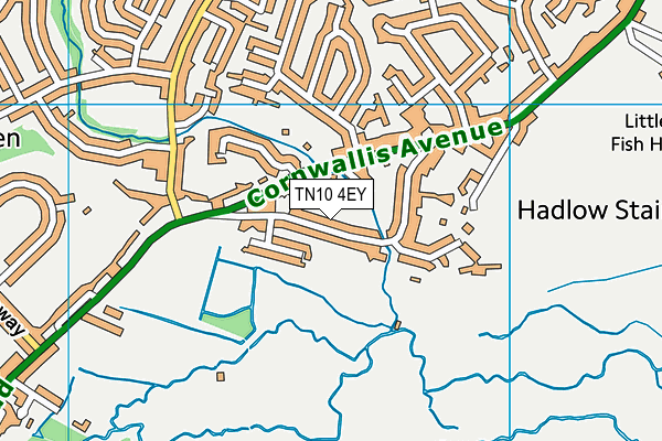 TN10 4EY map - OS VectorMap District (Ordnance Survey)