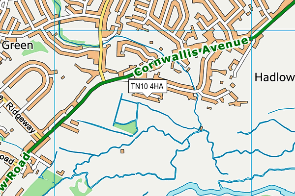 TN10 4HA map - OS VectorMap District (Ordnance Survey)