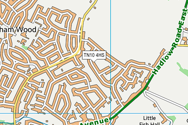 TN10 4HS map - OS VectorMap District (Ordnance Survey)