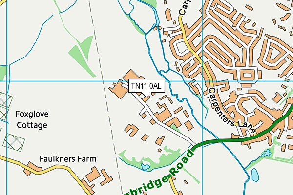 Hadlow College map (TN11 0AL) - OS VectorMap District (Ordnance Survey)