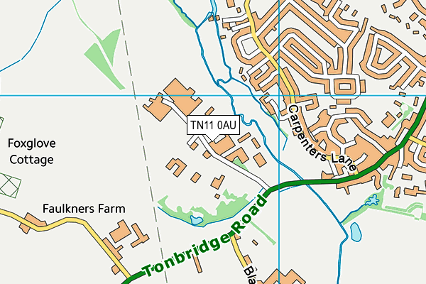 Hadlow Rural Community School map (TN11 0AU) - OS VectorMap District (Ordnance Survey)