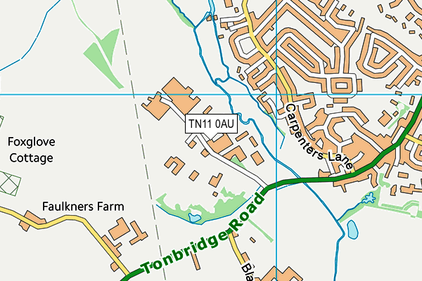 TN11 0AU map - OS VectorMap District (Ordnance Survey)