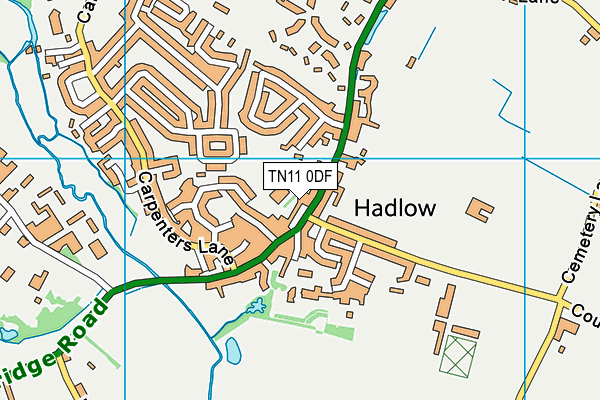 TN11 0DF map - OS VectorMap District (Ordnance Survey)