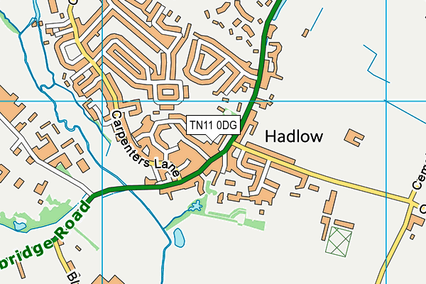 TN11 0DG map - OS VectorMap District (Ordnance Survey)