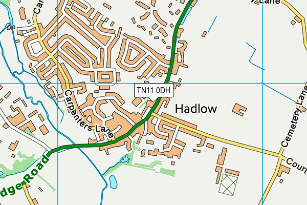 TN11 0DH map - OS VectorMap District (Ordnance Survey)