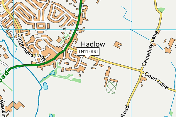 TN11 0DU map - OS VectorMap District (Ordnance Survey)